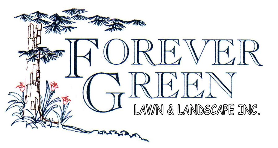 Forever Green Lawn & Landscape Inc.