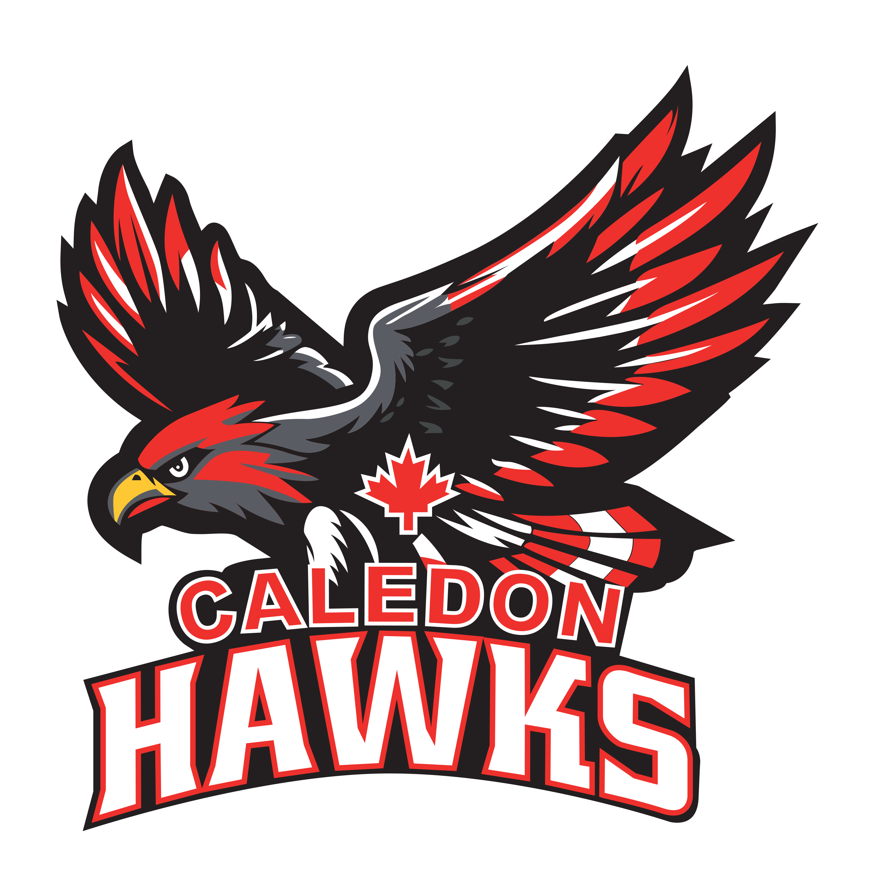 Main Logo