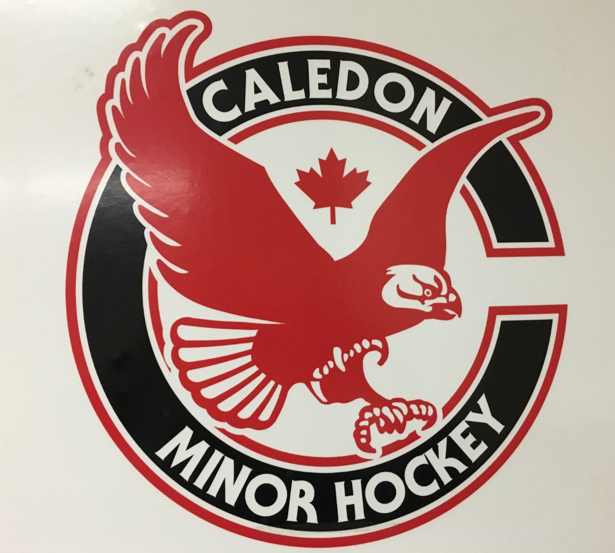 News > PRESIDENT'S MESSAGE (Caledon Minor Hockey Association)