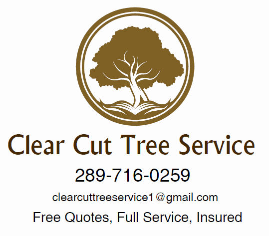 Clear Cut Tree Service