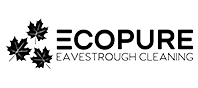 Ecopure Eavestrough Cleaning